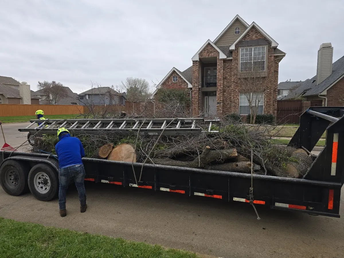 Expert Tree Removal with proper safety equipment in Pinecrest